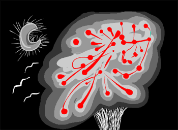http://hifolio.com/logger/1/arvore.gif