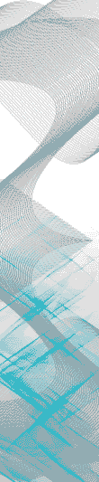 02_02_pulso300802.gif