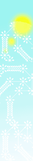 02_04_pulso270902.gif