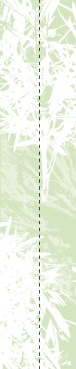02_06_pulso090104.gif