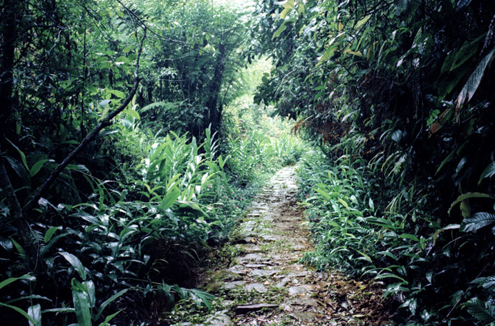 DanielPinheiro07.jpg