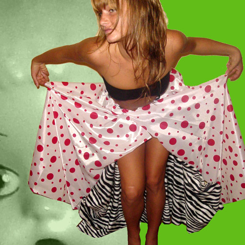 3-zebrapattern-top.jpg