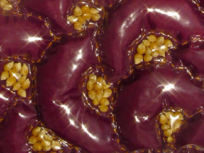 mc-liver3.jpg