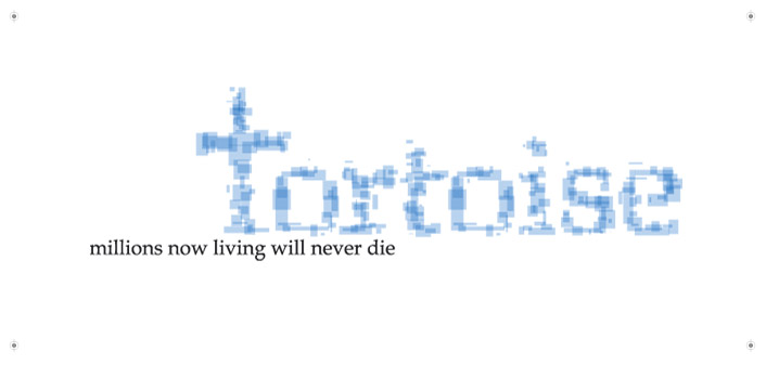 EXDE_TORTOISE0.jpg