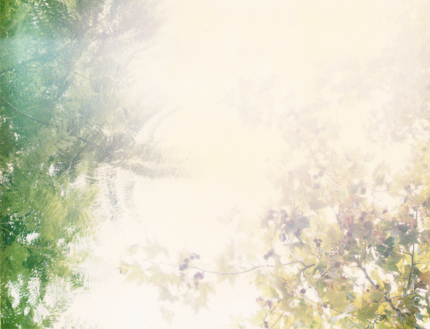 Flyingaway_cduarte_02.jpg
