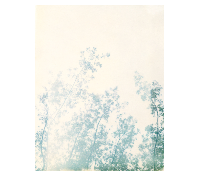 Flyingaway_cduarte_07.jpg