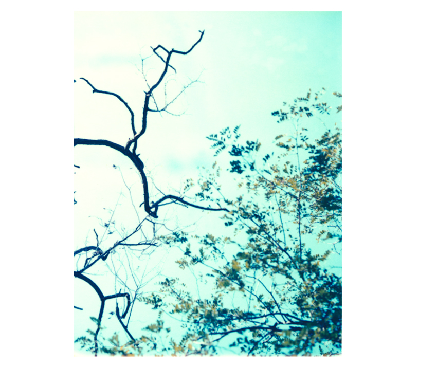 Flyingaway_cduarte_08.jpg