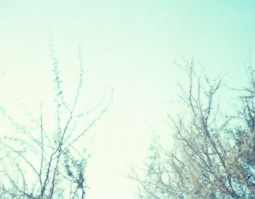 Flyingaway_cduarte_11.jpg