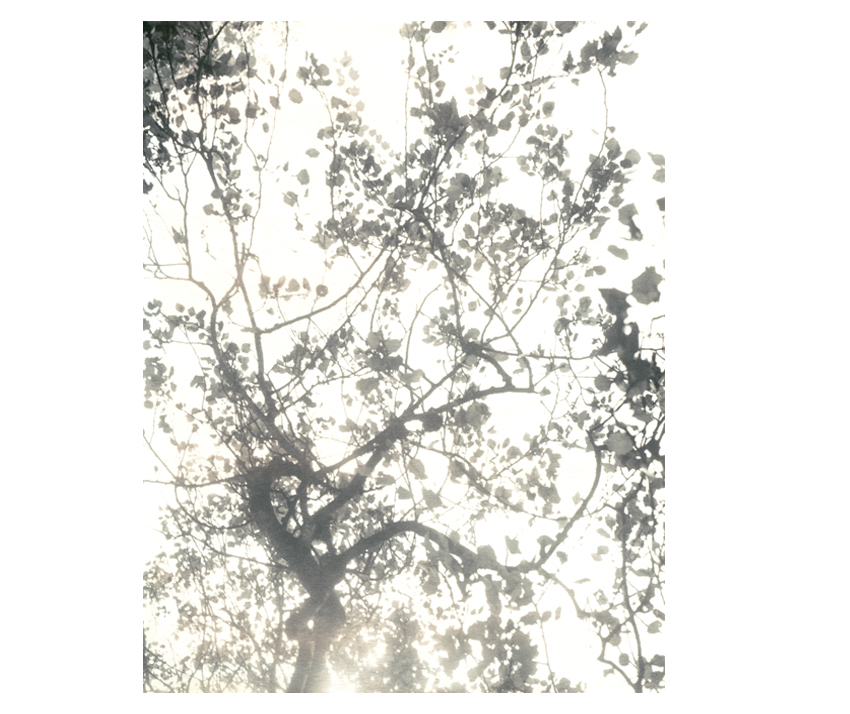 Flyingaway_cduarte_13.jpg