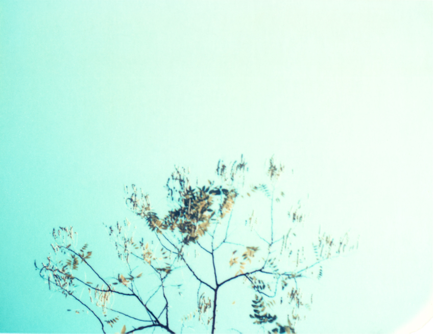 Flyingaway_cduarte_14.jpg