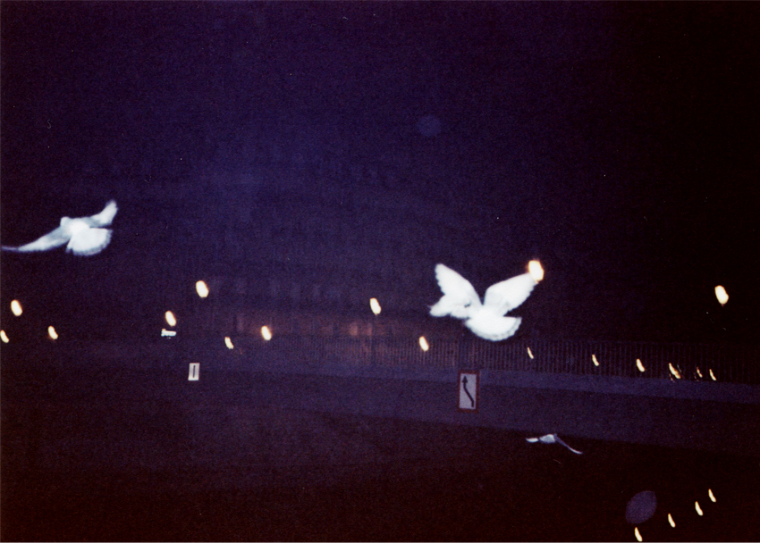 Paris_cduarte_01.jpg