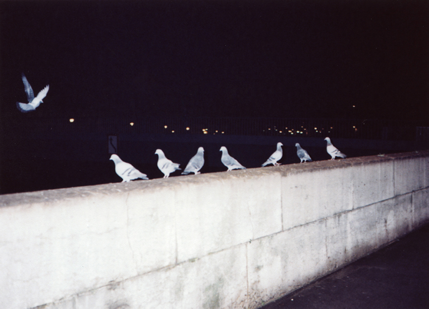 Paris_cduarte_15.jpg