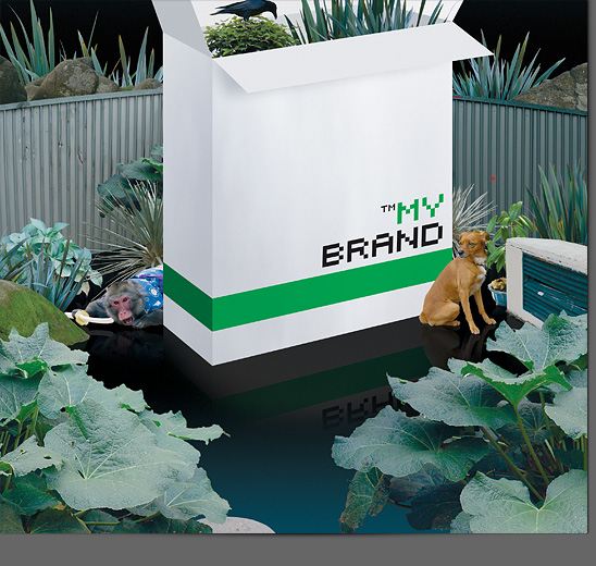 mybrand_img_001c.jpg