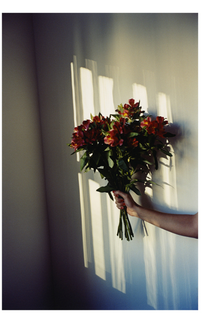 brightbright02.jpg