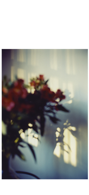 brightbright03.jpg