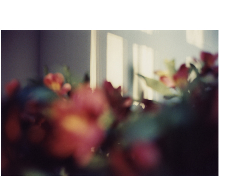 brightbright04.jpg