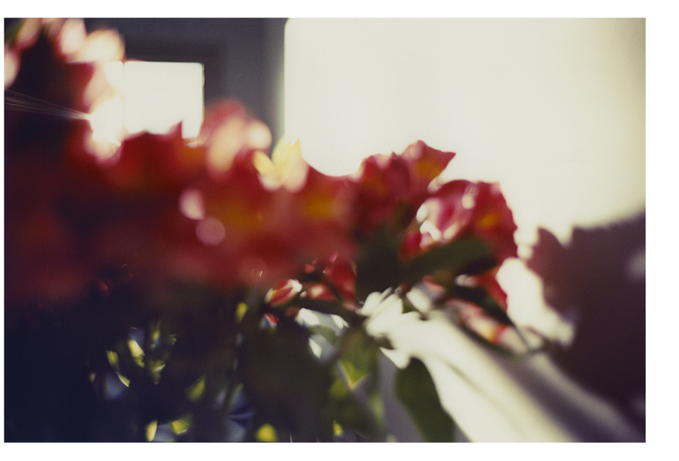 brightbright08.jpg