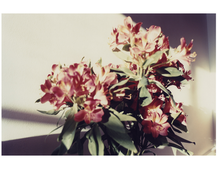 brightbright09.jpg