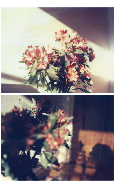 brightbright10.jpg