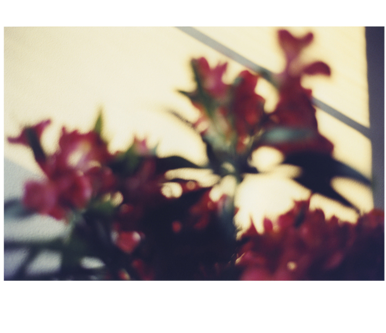 brightbright11.jpg