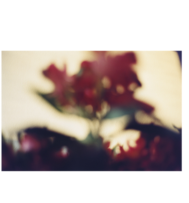 brightbright12.jpg