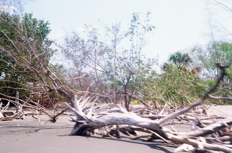 tmag_nicaragua_10.jpg