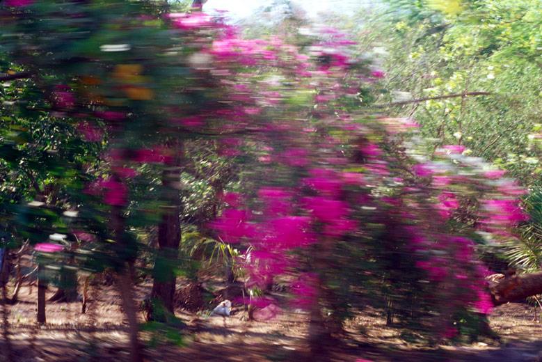 tmag_nicaragua_9.jpg