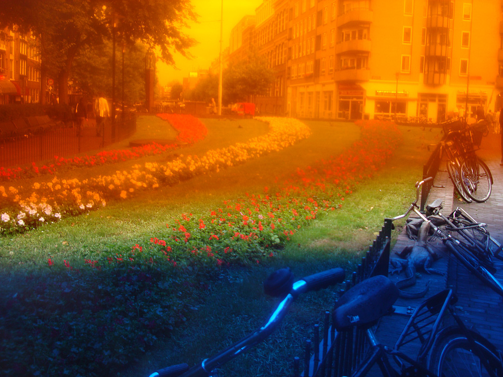 ams012.jpg