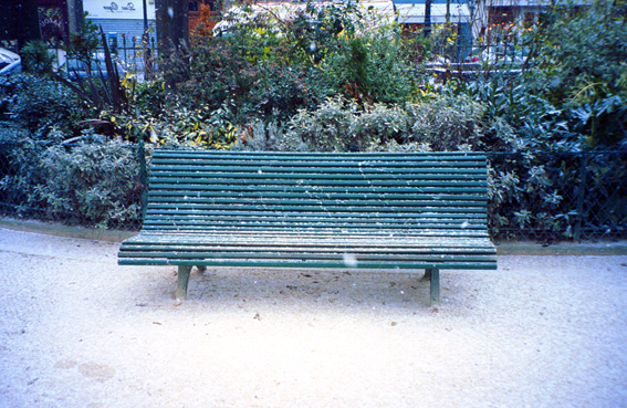 CeciliaDuarte_08w.jpg