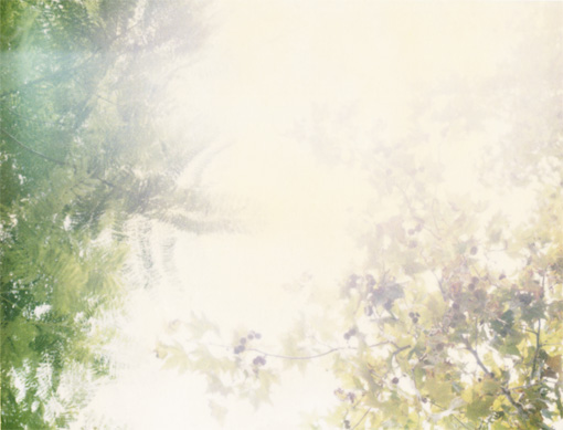 Leaves04.jpg