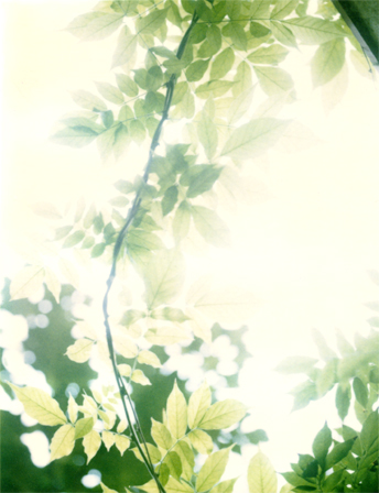 Personal_04.jpg