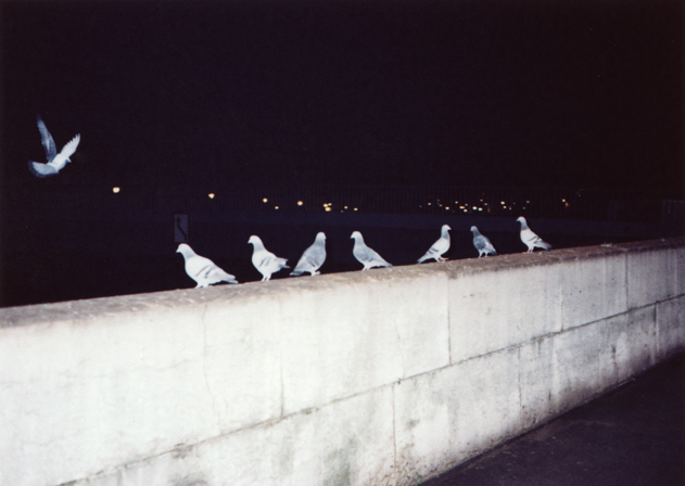 Personal_47.jpg