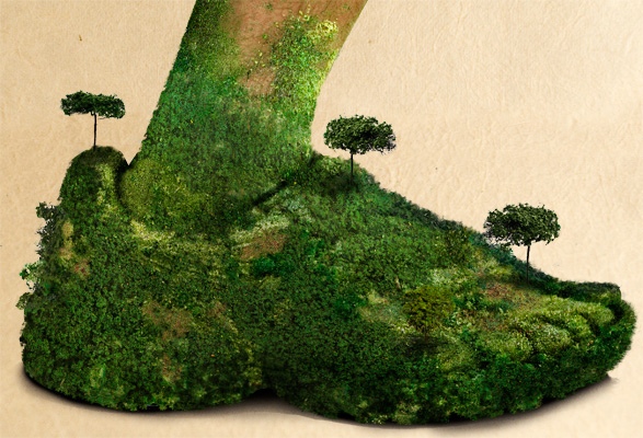 eco2.jpg
