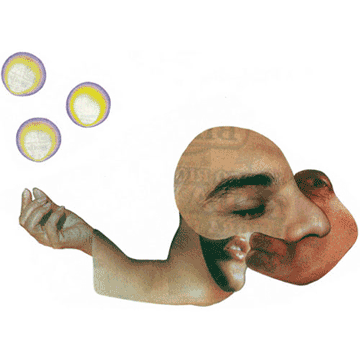 bizar7.gif