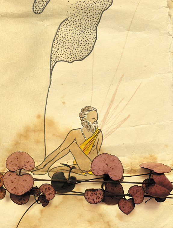 gustavoperes_gheranda_arbol.jpg