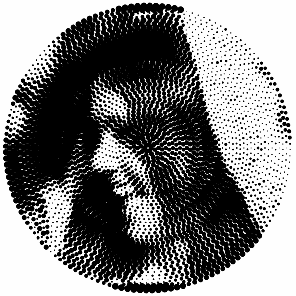 edie_reticula.gif