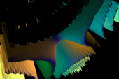 mesh-005.gif