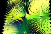 mesh-014.gif
