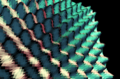 mesh-077.gif