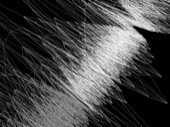 mesh-087.gif