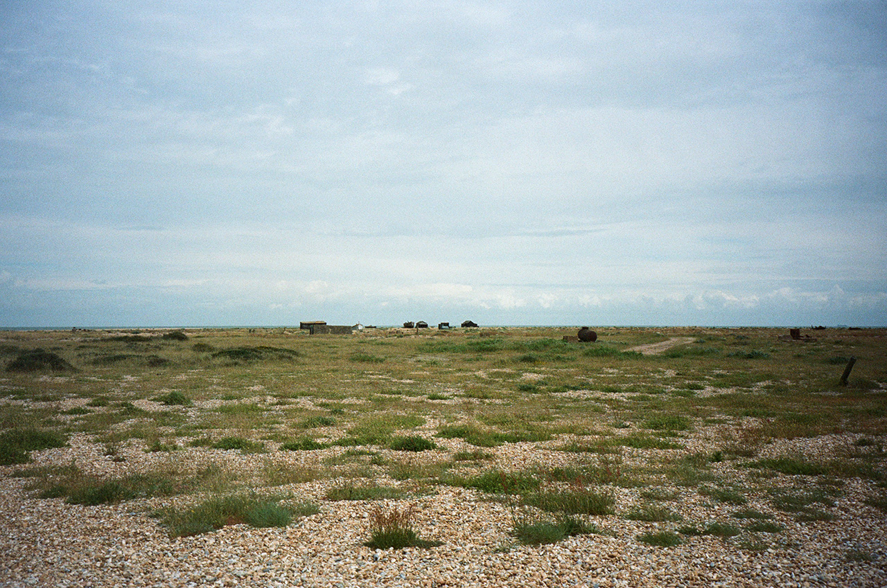 dungeness.jpg