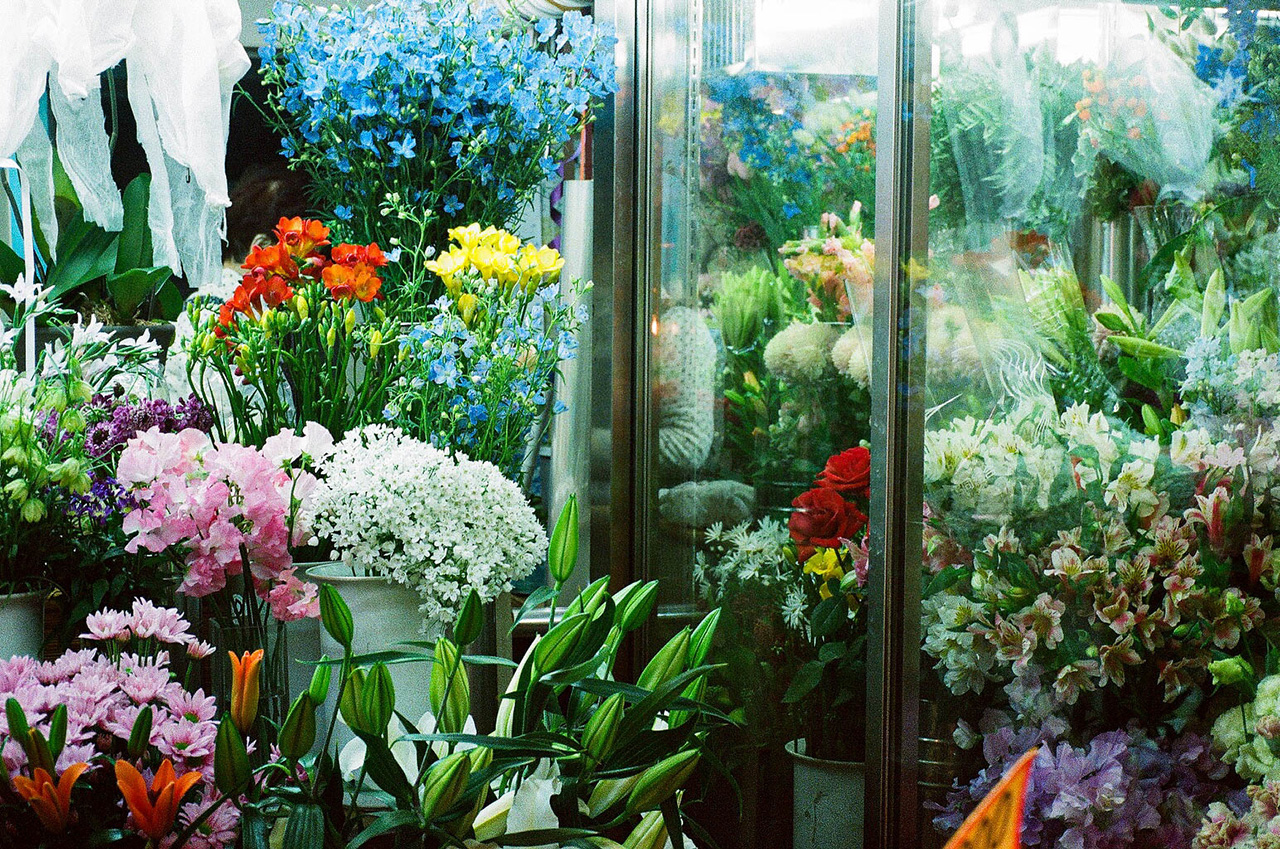 tumblr_8e11fc0e0850e8fd6ff2eb6e0579aaa3_52ddd5a7_2048.jpg